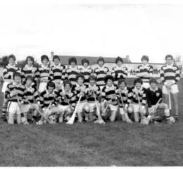 1978 Fe 16 County Champs