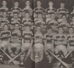 Team 1959 U15 Leaugue and Champ winners