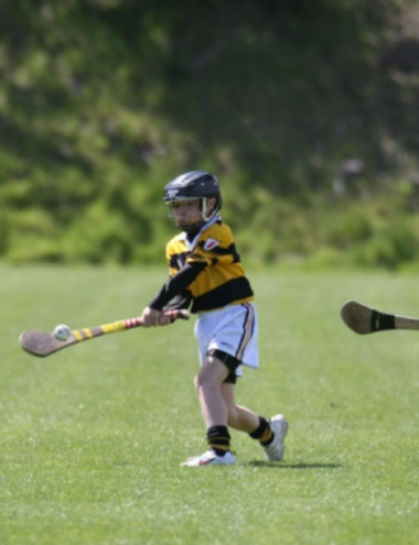 hurling training in the pitch