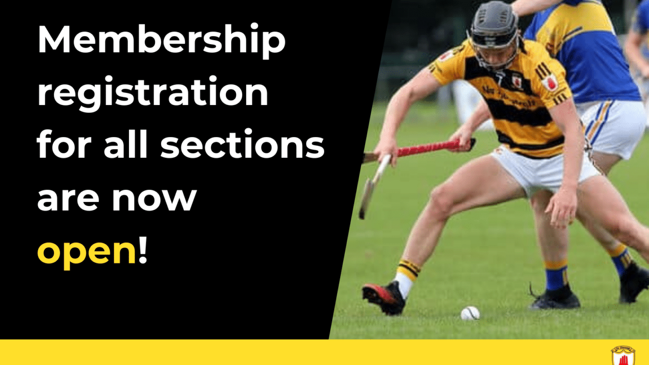 Na Piarsaigh Membership Clubzap