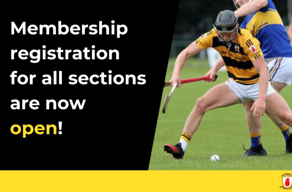 Na Piarsaigh Membership Clubzap