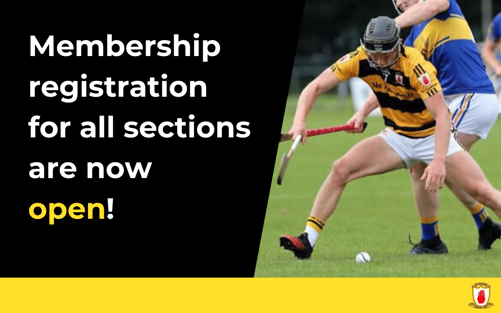 Na Piarsaigh Membership Clubzap